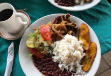 Traditional Costa Rican Food,