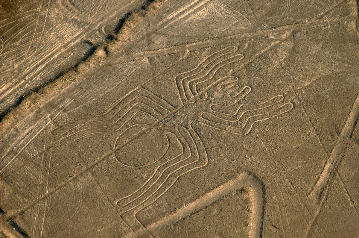 Nazca Line Depicting Spider