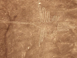 Featured Nazca lines- Peru, Mexico