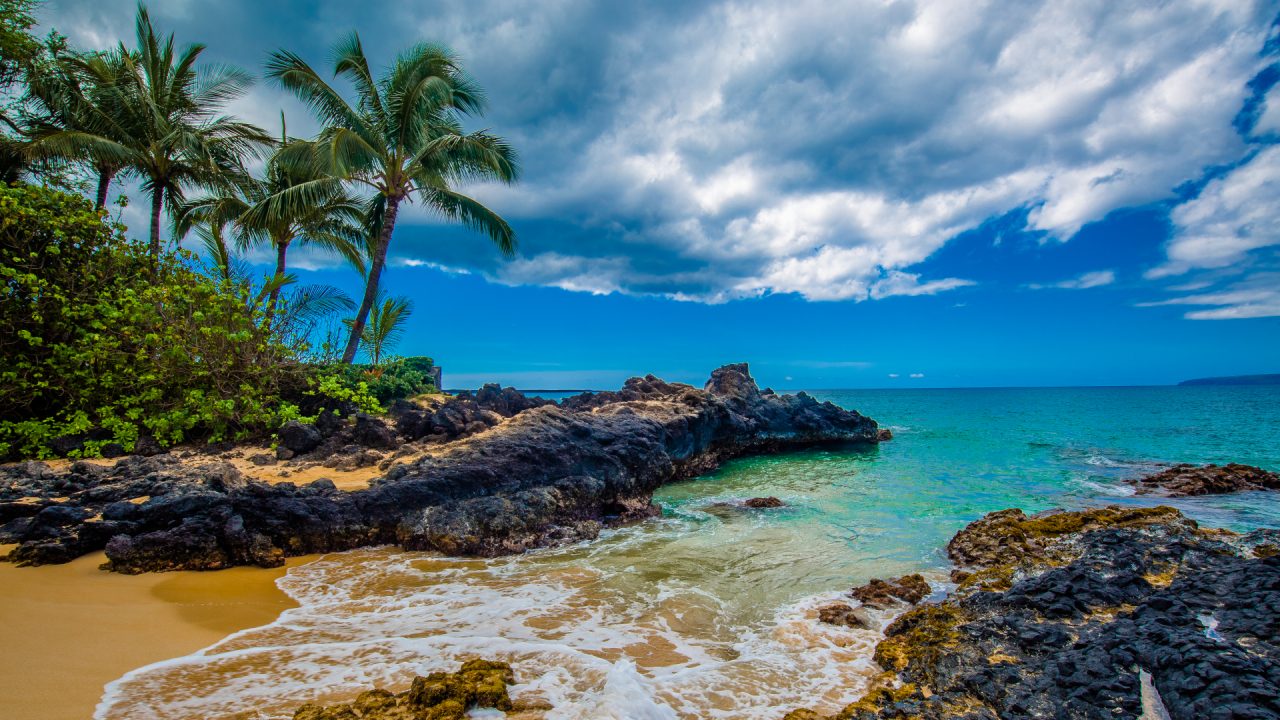 Visit Valley Of Isle And Explore Exotic Marine Life – Maui Islands