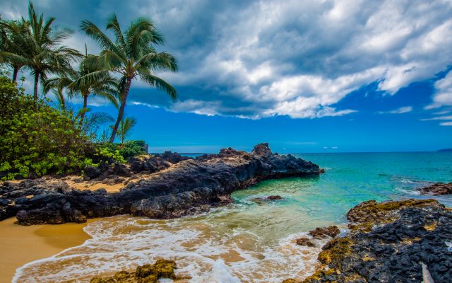 MAUI Cover