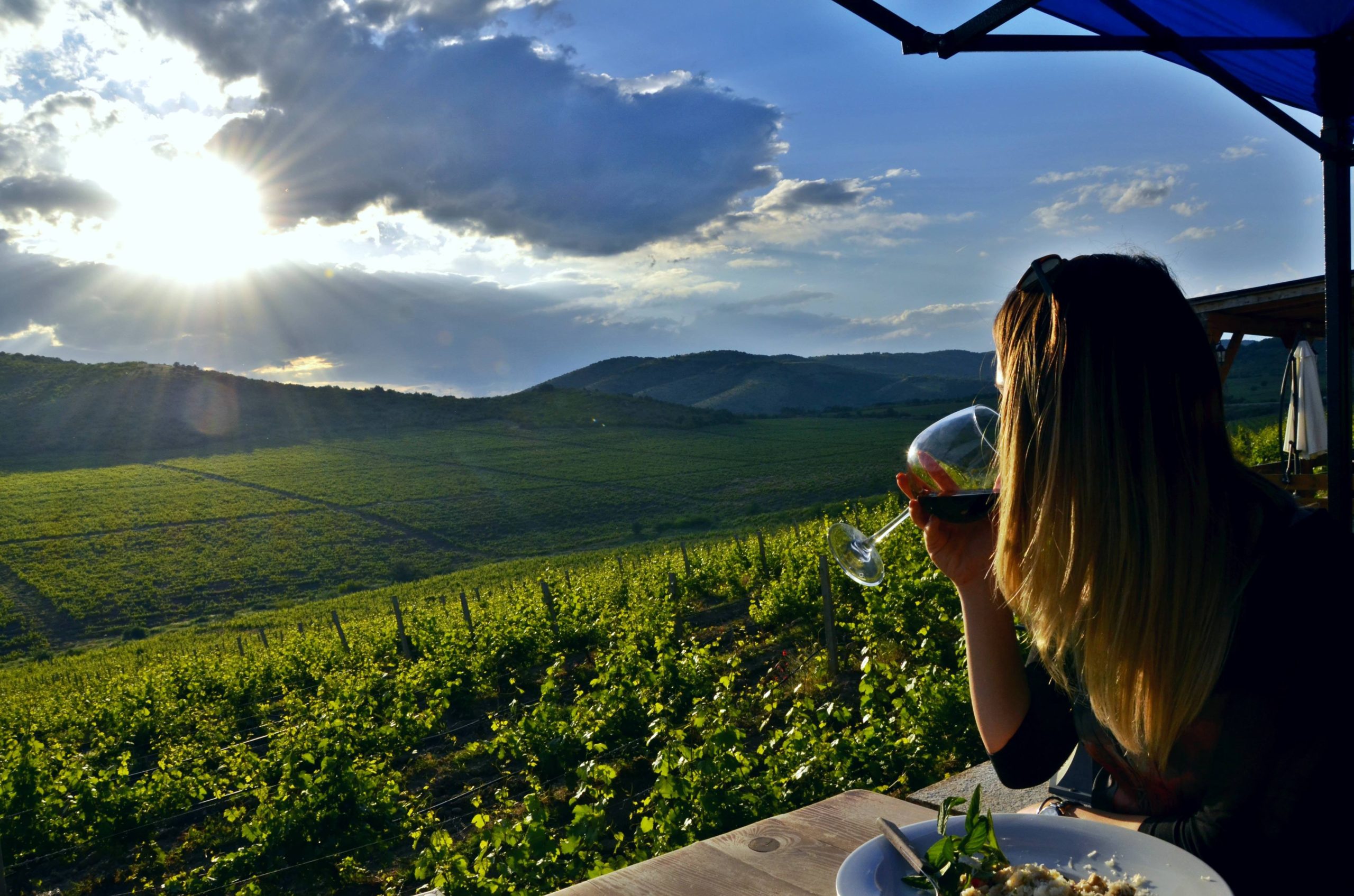 Macedonia Vineyards