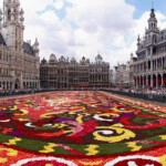 Brussels Cover
