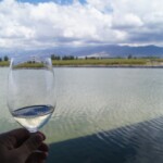 Mendoza Cover