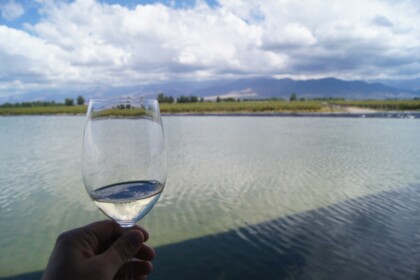 Mendoza Cover