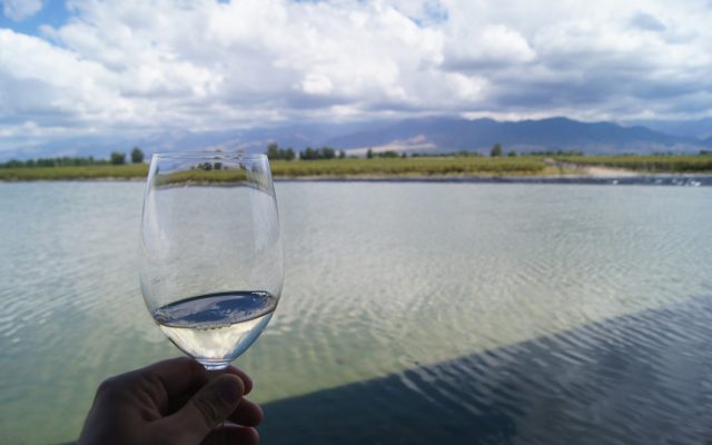 Mendoza Cover