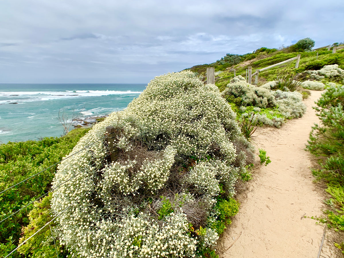 Mornington Peninsula Cover