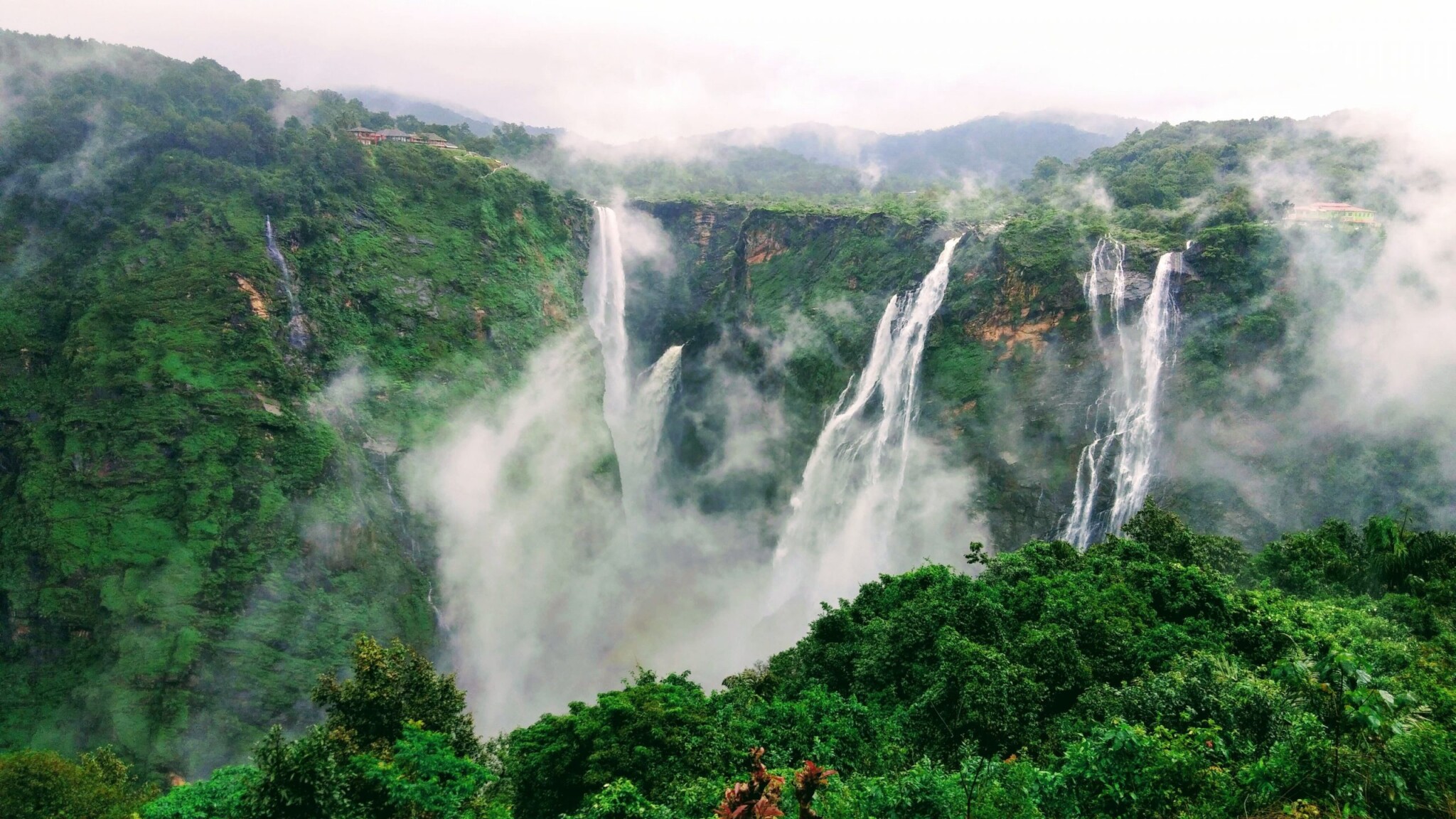 Shimoga Cover