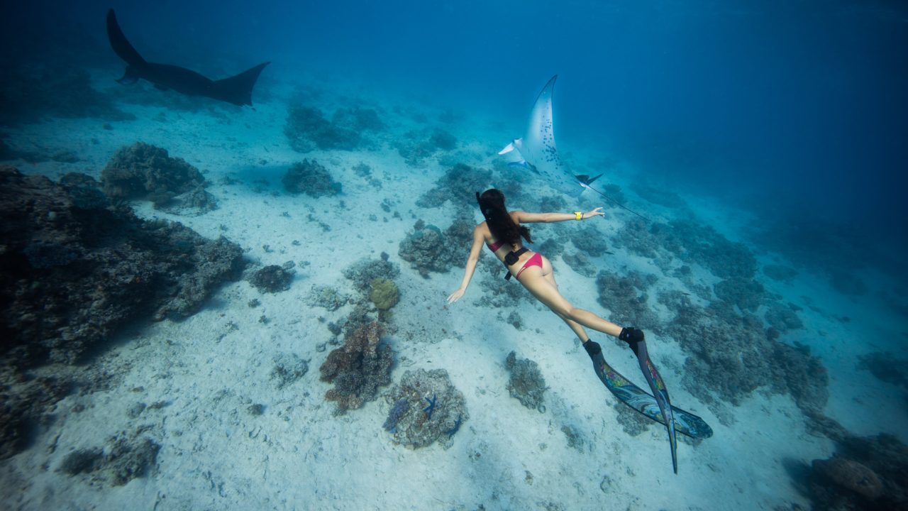 Kadavu Island: Explore the Pacific Marine Reserve of Fiji
