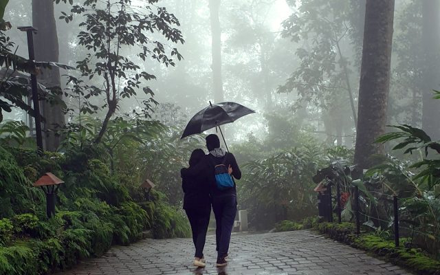 Kodaikanal Cover