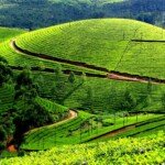Munnar Cover Pic