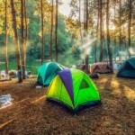 Jungle Camping