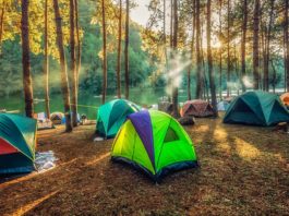 Jungle Camping