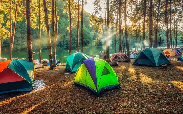 Jungle Camping