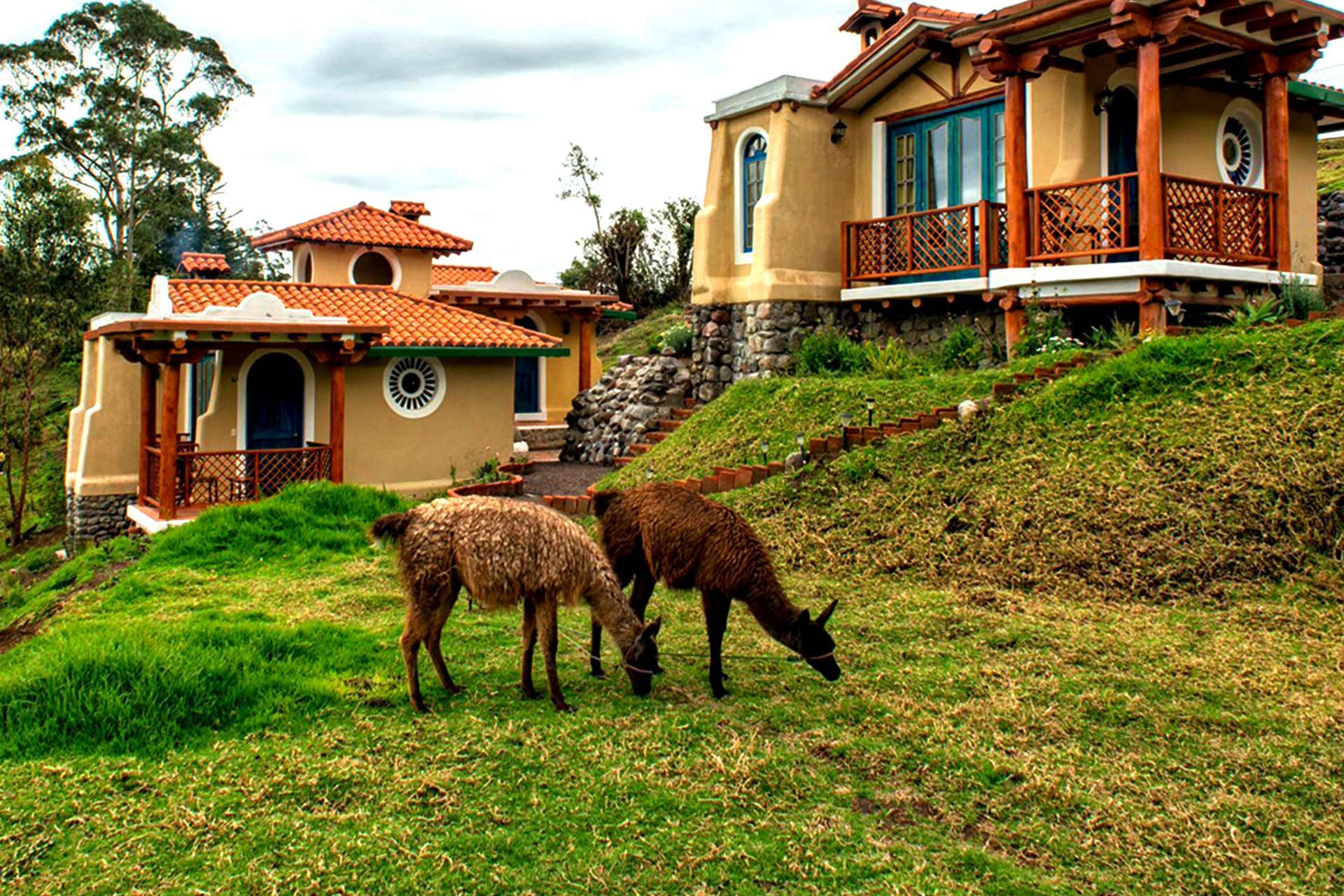 Ecuador