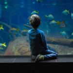 Featured Largest & Beautiful Aquariums of world
