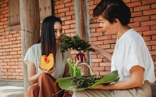 Featured Vegan Countries