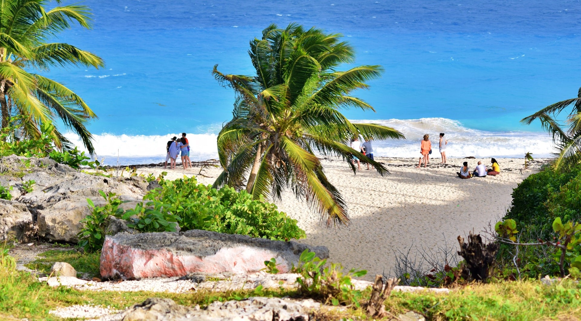 Tropical Beaches of Barbados