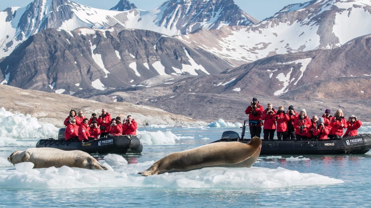 8 Reasons to Add Franz Josef Land to Your Travel Bucket List