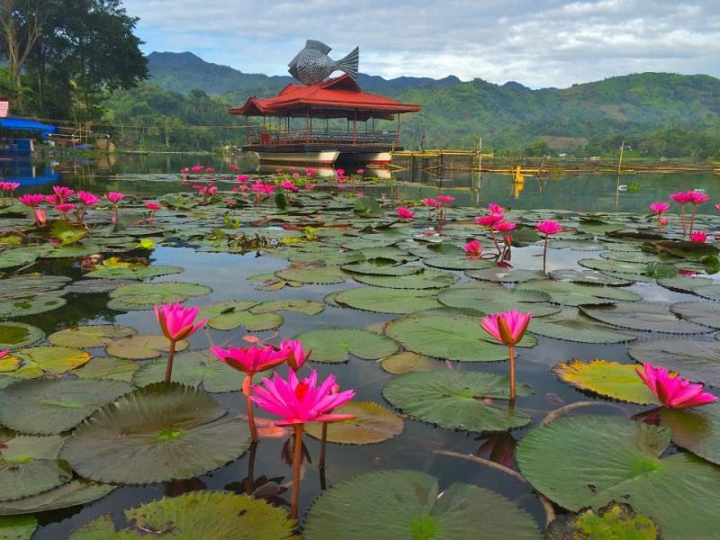 Punta Isla Lake Resort in Philippines