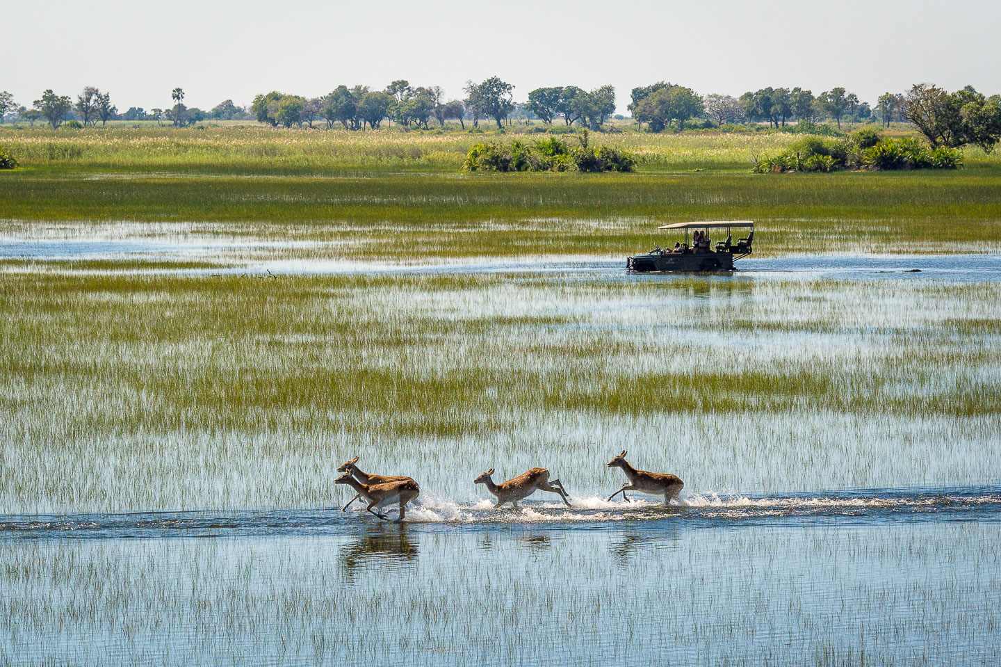 Game Reserves of Botswana Cover