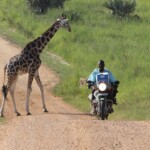 Featured Uganda Trip
