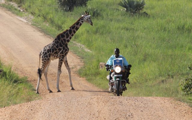 Featured Uganda Trip