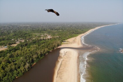 Best on The Ivory Coast Cover