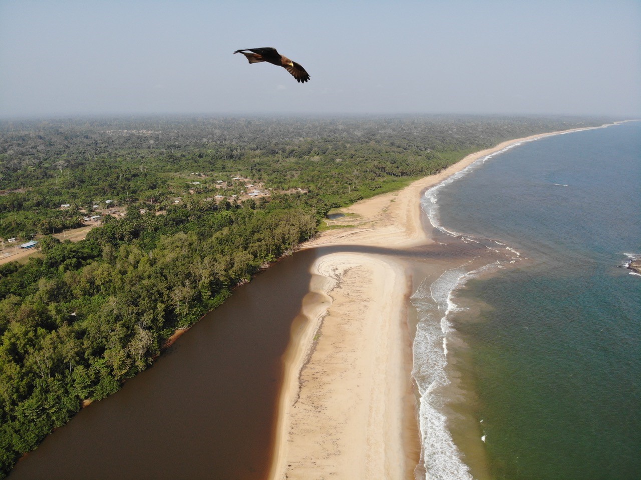 Plan a Trip to Find Nature at Its Best on The Ivory Coast - India Imagine
