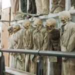Unusual Museums Cover
