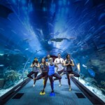 UAE Aquarium