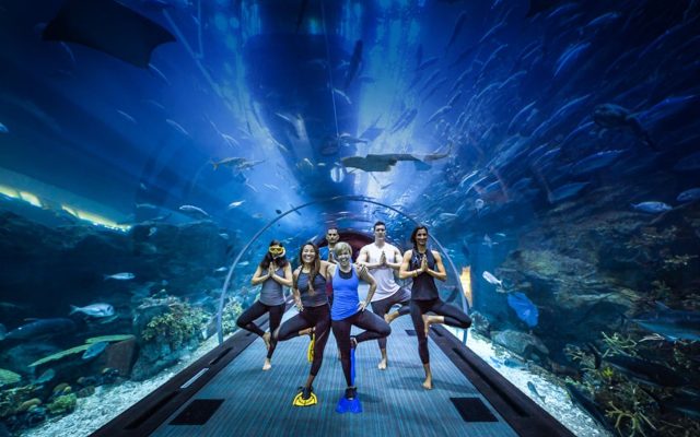 UAE Aquarium
