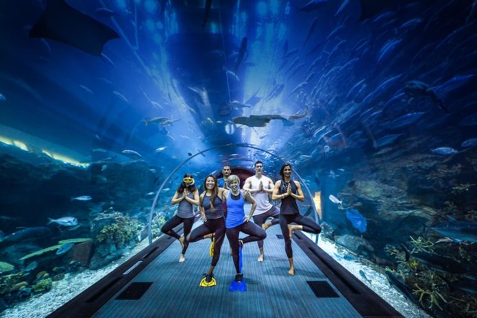 UAE Aquarium