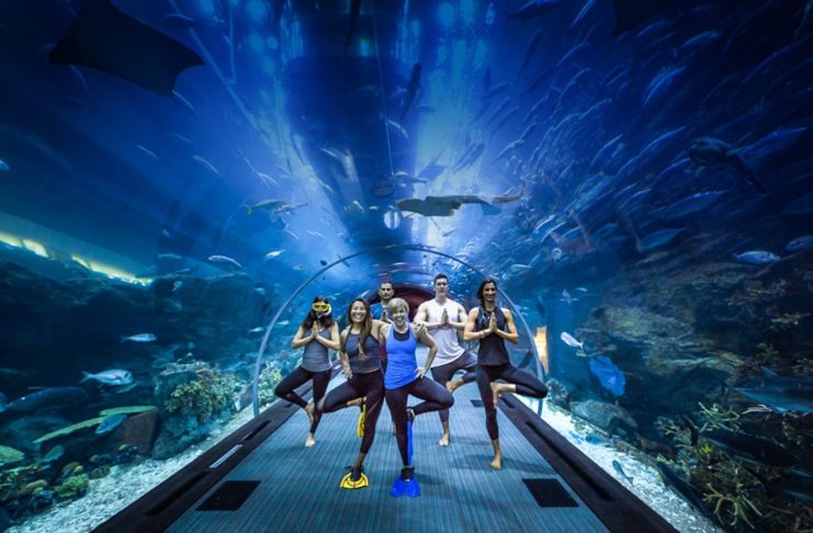 UAE Aquarium
