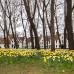 Featured Flemish Beguinage