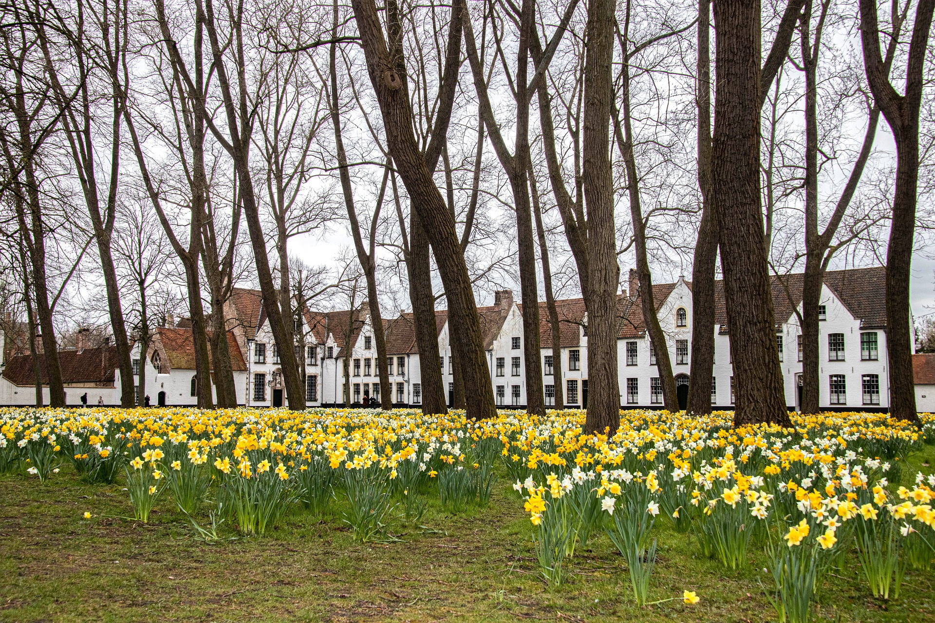 Featured Flemish Beguinage