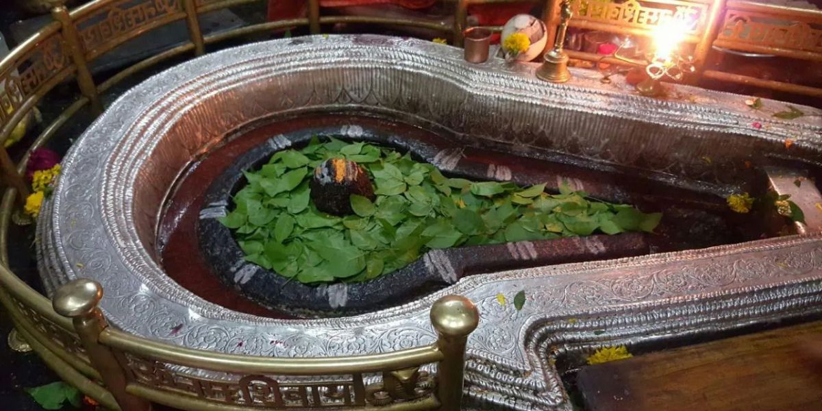 Shivlinga at Bhimashakar Temple