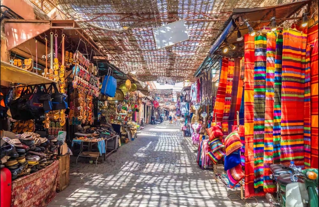 Zampa Bazaar