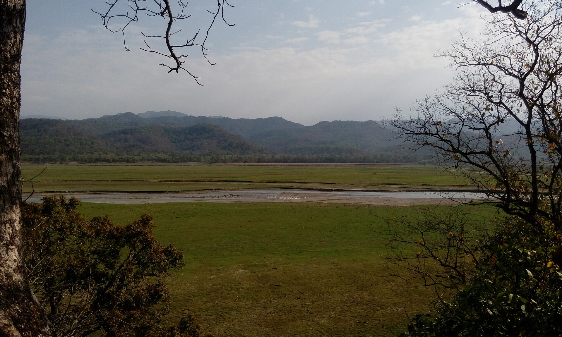 Landscape of Jim Corbett National Park, Uttarakhand