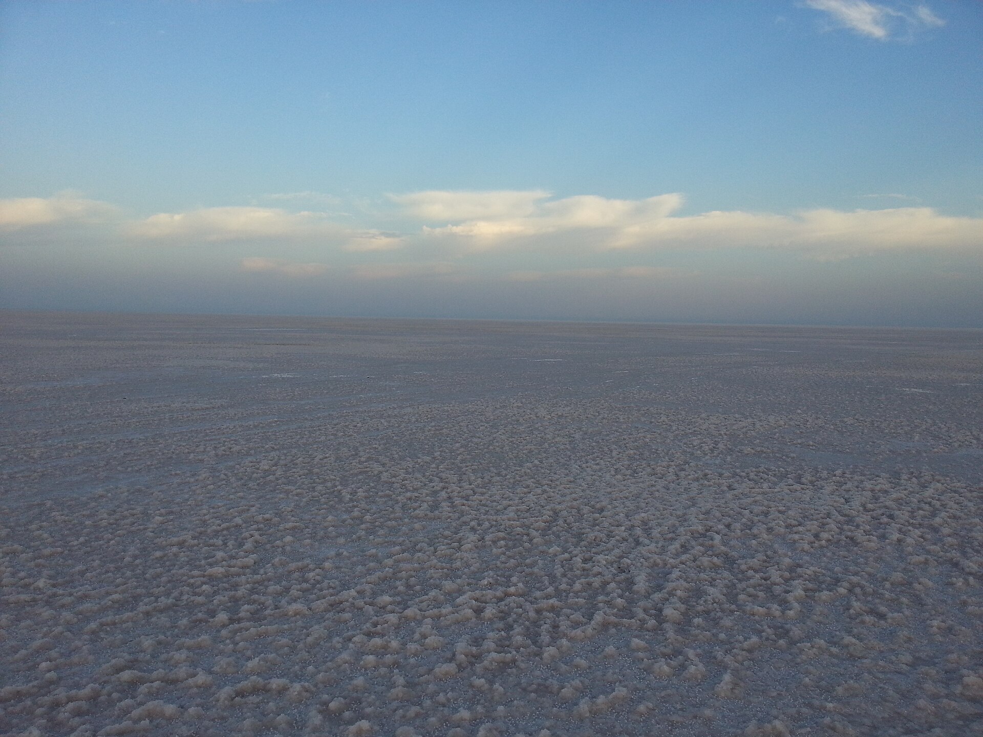 White Rann glowing at night under the moon