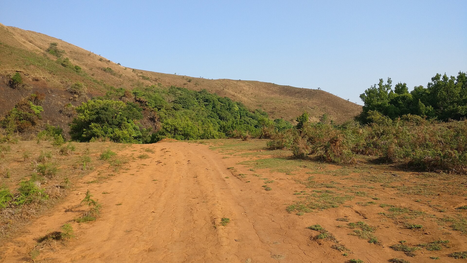 Grassland trail below Agani peak near Sakleshpur, Karnataka