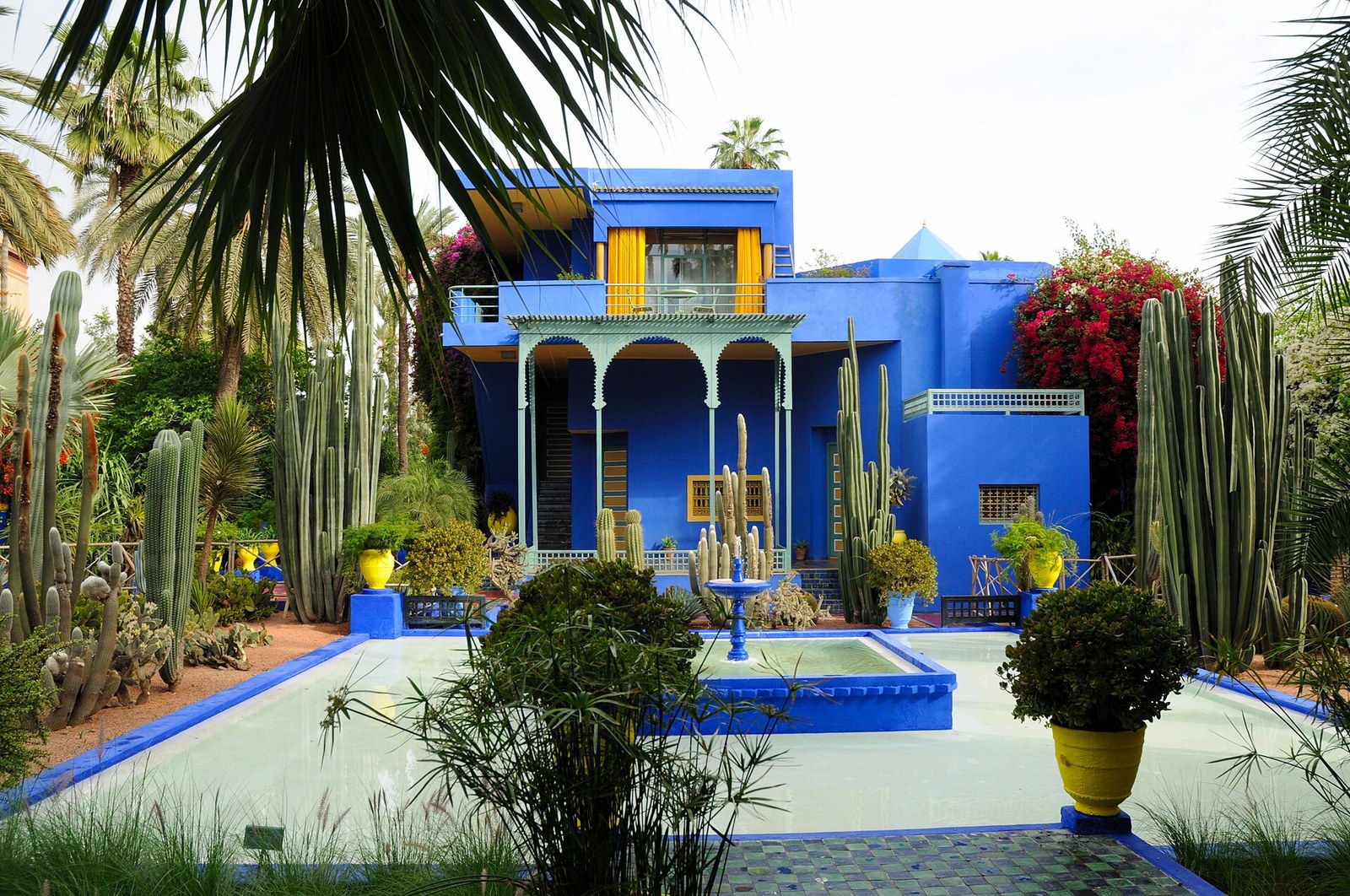 Cobalt blue villa and cactus garden at Jardin Majorelle in Marrakesh
