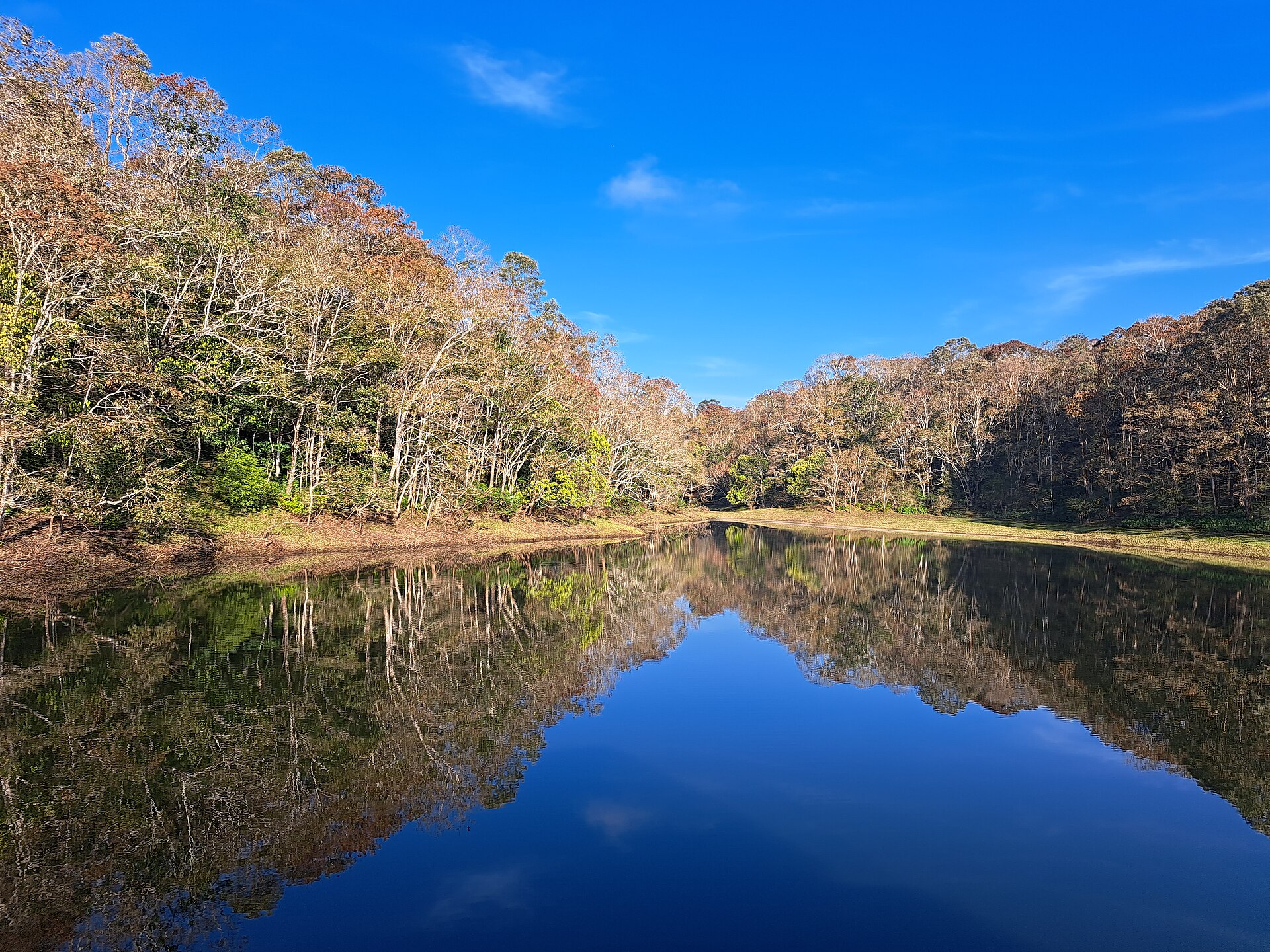 Kerala: Periyar lake thekkady