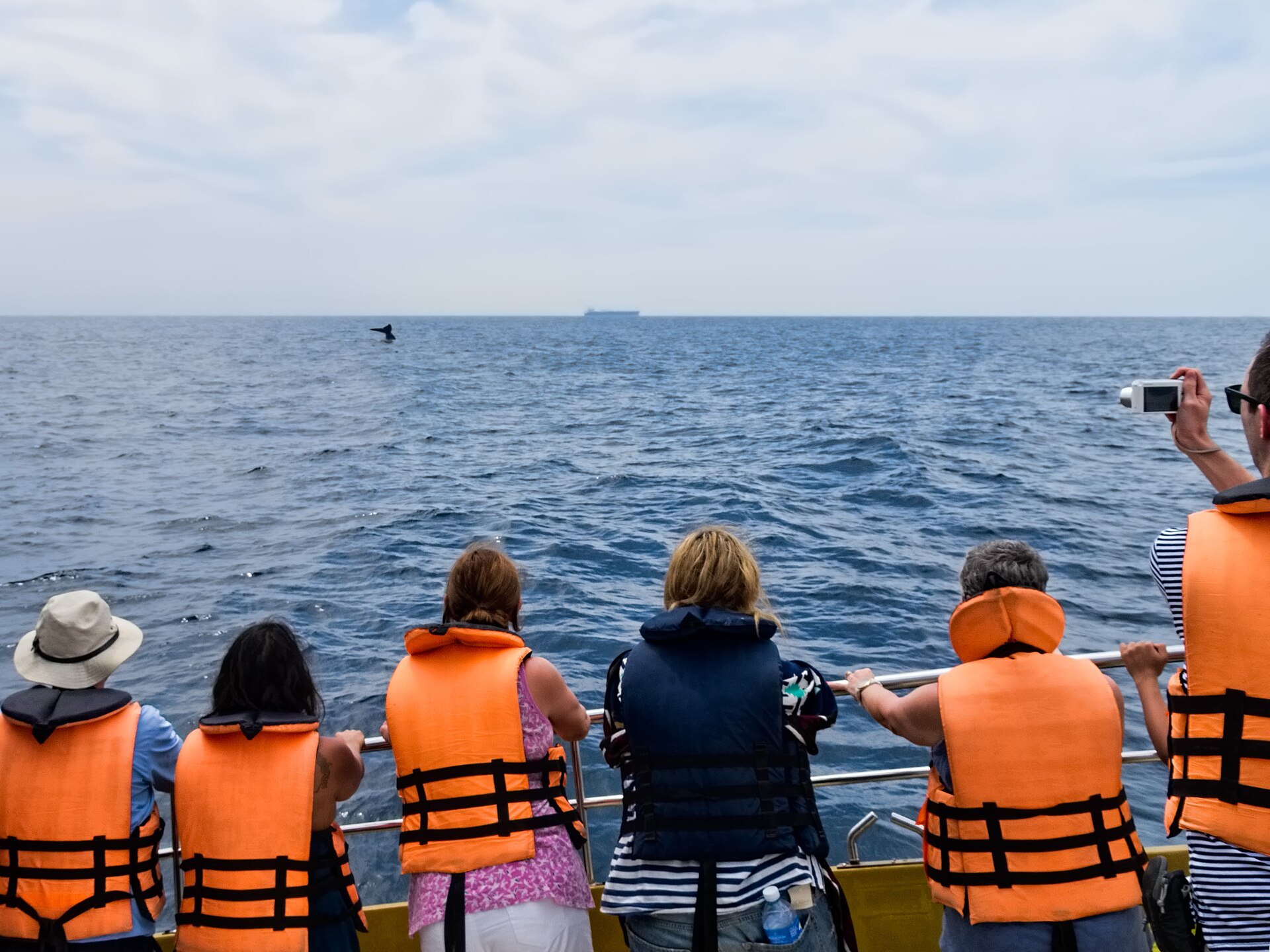 Passengers in life jackets on a Mirissa whale watching boat as a blue whale fluke rises