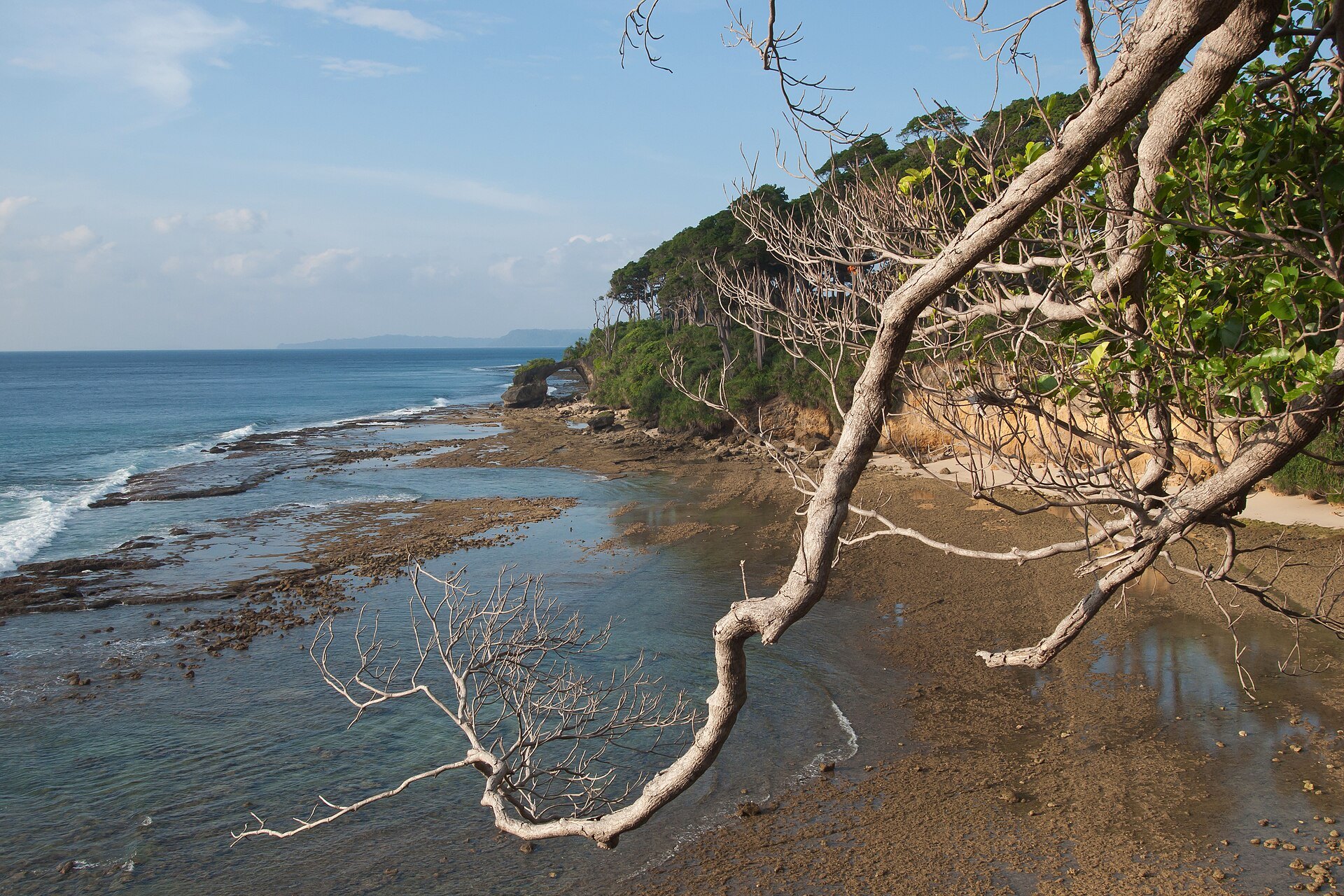Natural coral rock bridge at Laxmanpur Beach 2 on Neil Island at low tide