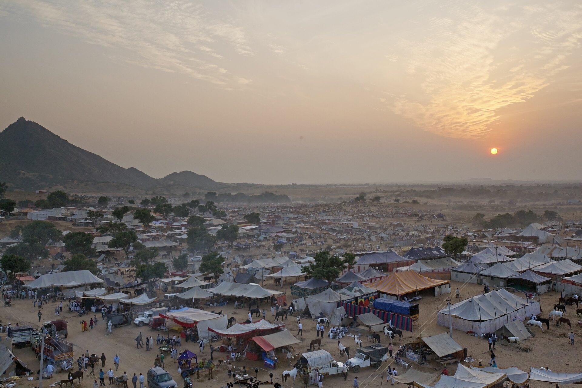 Aerial view of tents, horses and camps spread across the Pushkar fair ground at sunset