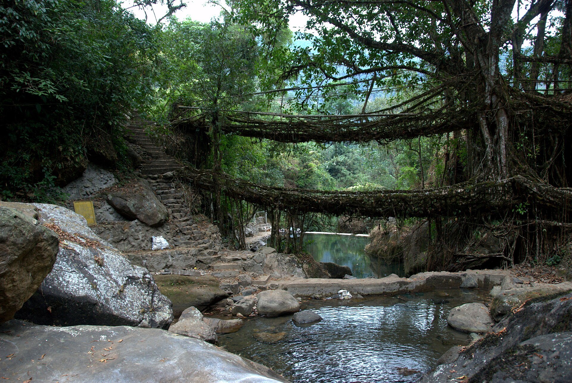 Umshiang double decker, the best known of the living root bridges, at Nongriat