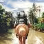 Gravatar profile photo for Himali Gupta