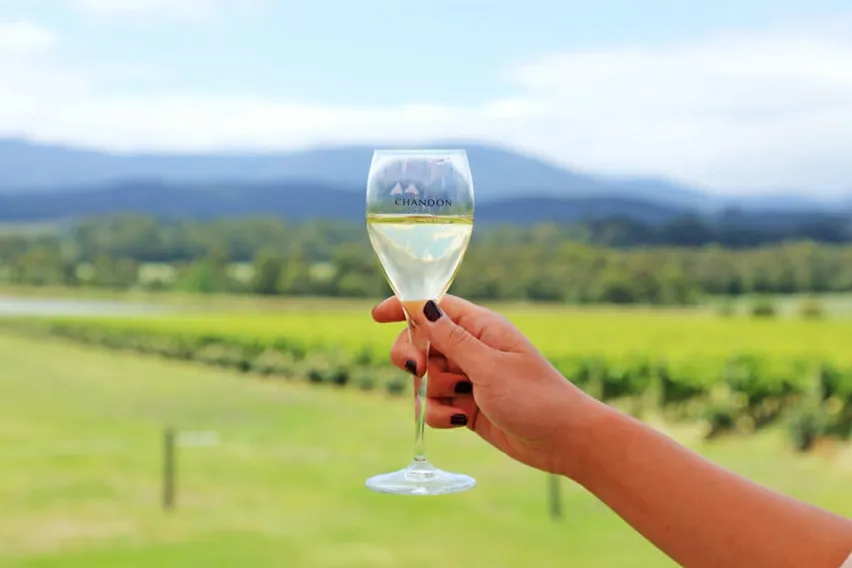 Wine Tasting Tour In Melbourne