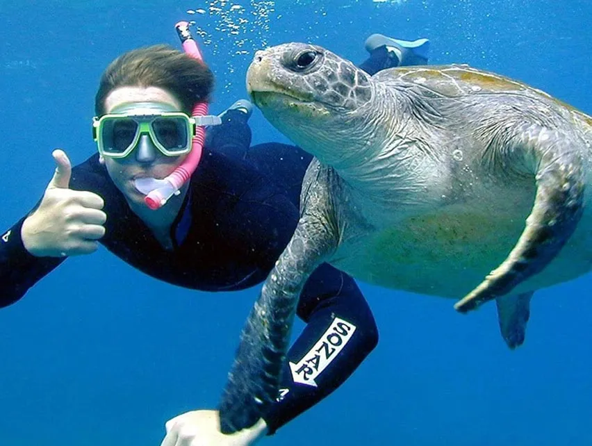 Scuba Diving Byron Bay